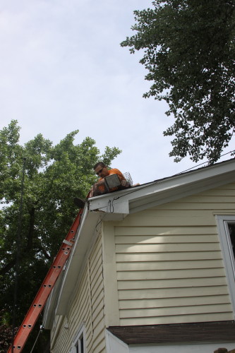 Brad up on a roof trapping squirrels