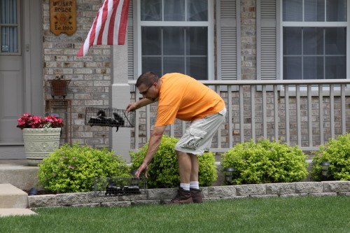 skunk removed from house by suburban wildlife control